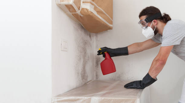Professional Commercial Mold Remediation technician working in Wyandanch, NY
